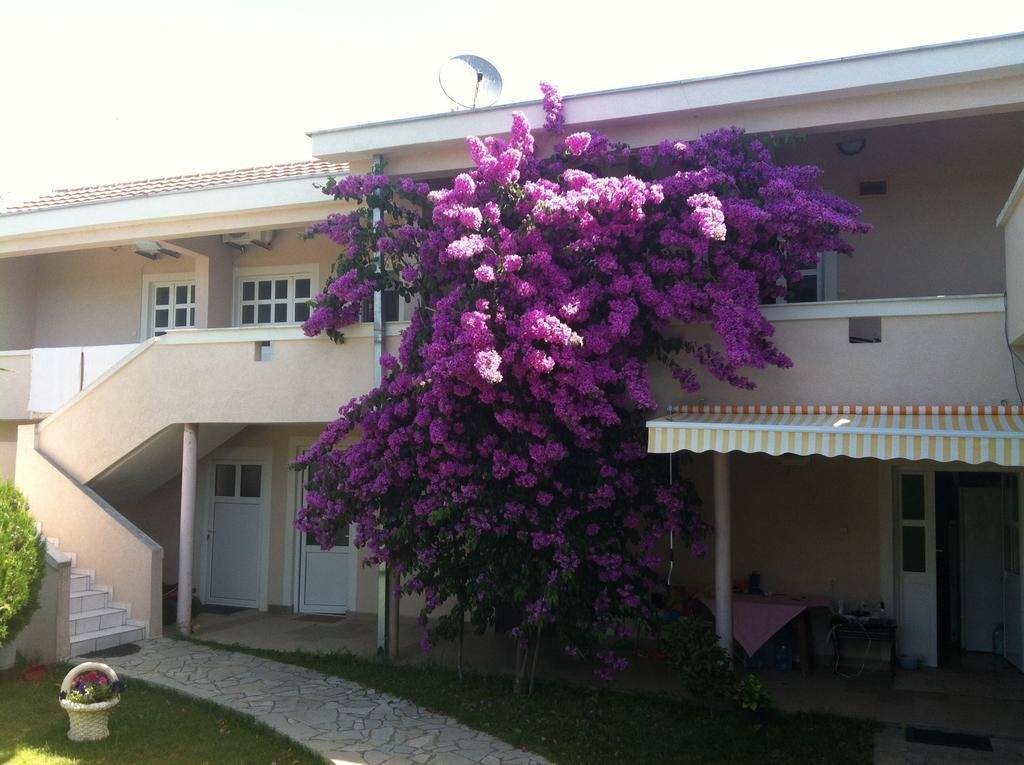 Apartments Ada Bojana Ulcinj Zimmer foto
